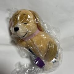 パウ.パトロール　ごろりんぬいぐるみ〜出動前　スカイ