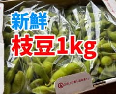 今が旬！新鮮　枝豆1kg 期間限定のサムネイル