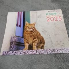 ねこのきもち　岩合光昭さんのネコカレンダー 2025のサムネイル