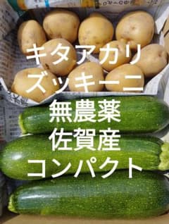 キタアカリズッキーニセット 佐賀産 農薬不使用 コンパクト箱いっぱいのサムネイル