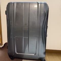 ACE ハードキャリーケース TSAロック搭載 グレー 80L ACE ハードキャリーケース TSAロック搭載 グレー 80L - メルカリ