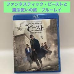 ファンタスティック・ビーストと魔法使いの旅('16英/米) blu-rayのサムネイル