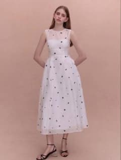 【新品タグ付き】エイミーイストワール GYPSOPHILE DRESS 36のサムネイル