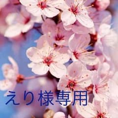 えり様専用  ちふれチークのサムネイル