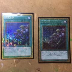 遊戯王 同胞の絆のサムネイル