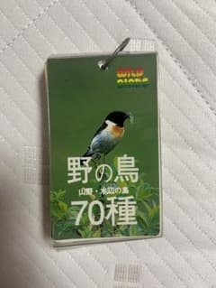 野の鳥70種　山野・水辺の鳥　野鳥　アルペン企画のサムネイル