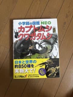 カブトムンクワガタムシ 小学生の図鑑 NEOのサムネイル