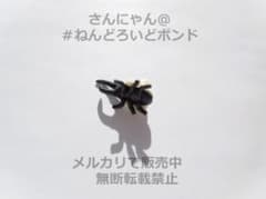 [파트/헤라클레스 오오카부트]넨도로이드 모모 네네 홀로 라이브 딱정벌레
