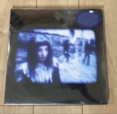 SHIZUKA The Perfect World ダブルLP　静香 未開封 SHIZUKA The Perfect World ダブルLP 静香 未開封 - メルカリ