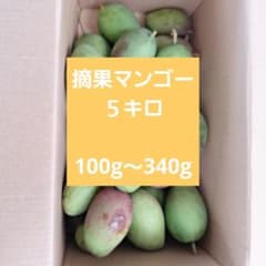 摘果マンゴー5キロ - メルカリ