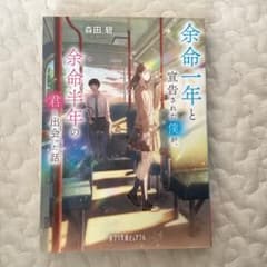 余命一年と宣告された僕が余命半年の君と出会った話