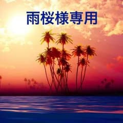 雨桜様専用♡水筆のサムネイル
