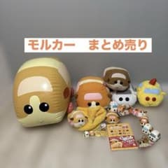 PUI PUI 몰카 푸이프이 몰카 정리 판매