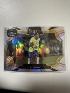 Panini Select ハフィーニャ ブラジル代表のサムネイル