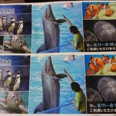 新江ノ島水族館ペアチケットのサムネイル