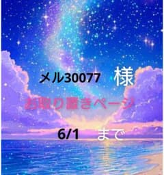 レジン 猫 ドライフラワー ヘアゴム ブローチ ポニーフック - メルカリ