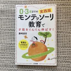 0～3歳までの実践版 モンテッソーリ教育で才能をぐんぐん伸ばす!のサムネイル