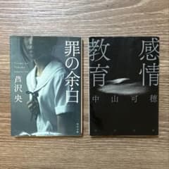 「罪の余白」　「感情教育」　角川文庫　河出文庫　2冊セットのサムネイル