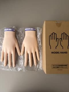 【美品✨骨折なし❗️3.4回使用】JNEC認定モデルハンド ネイリスト技能検定試験 JNEC認定モデルハンド ネイリスト技能検定 骨折なし 本番用 - メルカリ