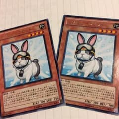 レスキューラビットのサムネイル