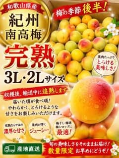 色付き‼️和歌山県産 完熟南高梅 2L.Lサイズ 5kg みかんキング - メルカリ