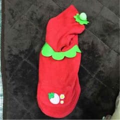 小型犬 ☆ 服のサムネイル