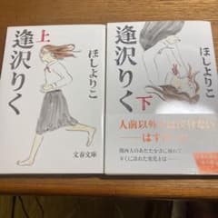 逢沢りく 上下　2冊セットのサムネイル