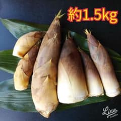 たけのこ　約1.5kg　③のサムネイル