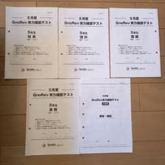 5年生 5月 GnoRev 実力確認テスト グノーブル グノレブ - メルカリ