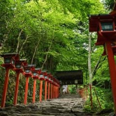 りょうじ様専用のサムネイル