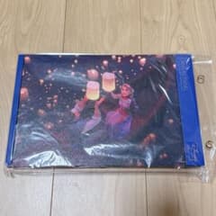 限定品】塔の上のラプンツェル LEDキャンバスパネル ディズニー - メルカリ