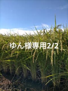 ゆん様専用 農家直送令和8年新米新潟産コシヒカリ玄米25kg(袋込)のサムネイル