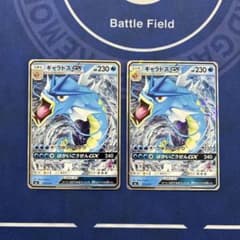 ギャラドスGX SML サン＆ムーン ファミリーポケモンカードゲーム 2枚
