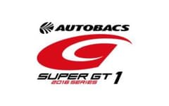 スーパーGT開幕戦 パドックパスのサムネイル