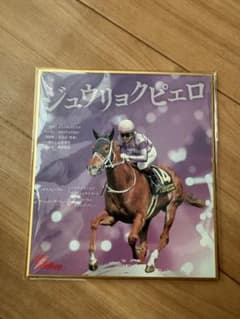 Gallop 週刊ギャロップ ジュウリョクピエロ 今村聖奈 ミニ色紙 - メルカリ