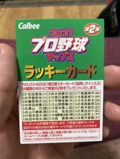 ラッキーカード　プロ野球チップスのサムネイル