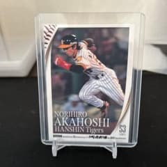 赤星憲広 阪神タイガース トレーディングカード 53 スペシャル版