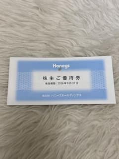 Honeys 3000円分　株主優待券 ¥500 ６枚セットのサムネイル