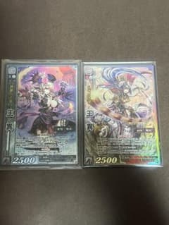 三国志大戦tcg 王異 【魏軍】【群雄】 2枚セット - メルカリ