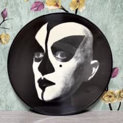 コンラッド・シュニッツラー 『ZUG』 12inch LP ピクチャーディスク