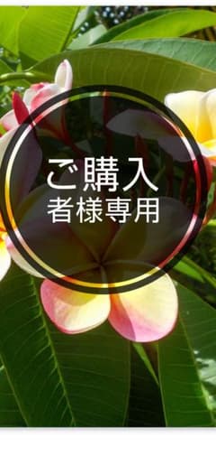 ★しまむら terawear emu ツイードスカート★のサムネイル