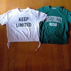 レディース 半袖Tシャツ 2枚セット