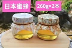 栄養たっぷり　日本蜜蜂　はちみつ　食べやすい　小瓶　2本　プレゼント　夏バテのサムネイル