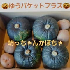 北海道産　坊ちゃんかぼちゃゆうパケットプラスサイズ　送料込のサムネイル