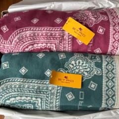 【新品未使用】ETRO 綿毛布　洗濯可140cm×200cmのサムネイル