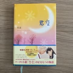 君空 美嘉 著のサムネイル