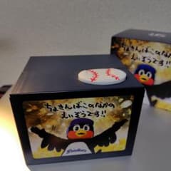 美品 つば九郎 貯金箱　ヤクルトスワローズ　動作確認済み　外箱有り 美品 つば九郎 貯金箱 ヤクルトスワローズ 動作確認済み 外箱有り