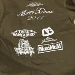 ドラゴンゲートTシャツ   2枚組のサムネイル