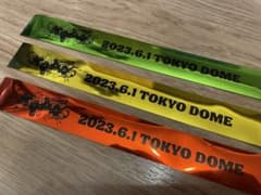 【値下げしました】TOP4 in TOKYO DOME 銀テのサムネイル