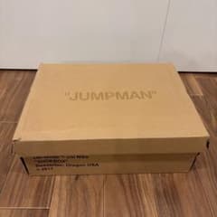 Off-White × Nike Air Jordan 1 Chicagoのサムネイル